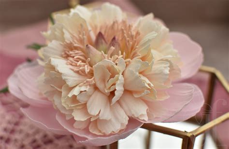 Large Peony Flower Hair Clip Pink Peony Hairpiece Peony Etsy