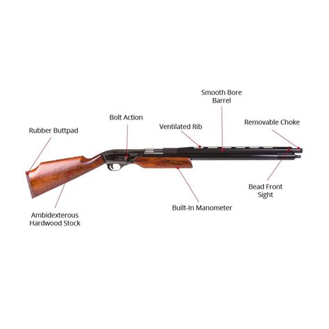 Big Game Air Guns Seneca Wing Shot Ii Shotgun