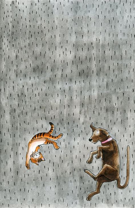 76 Best Images About Raining Cats And Dogs On Pinterest An Eye
