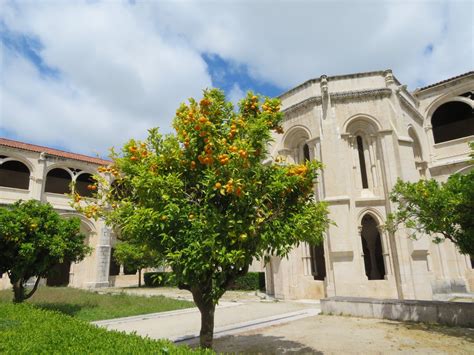The selection of 葡萄 (grape) in the phonetic transcription alludes to the importance of viniculture to the early portuguese missionaries to china, who used grapes to make sacramental wine. 葡萄牙｜中部｜景點｜阿爾科巴薩修道院 Mosteiro de Alcobaca，葡萄牙的羅密歐與茱麗葉長眠之地 - Zoey's Journey ︎