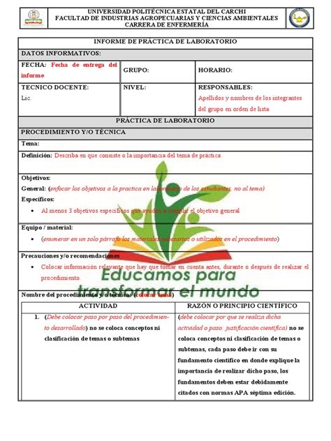 Formato Informe De Practica Laboratorio Pdf Laboratorios