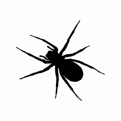 Spider Clipart Silhouette Clip Line Insect Insects