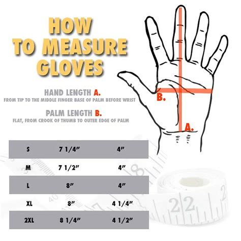 How To Measure Glove Sizes Cduritigq