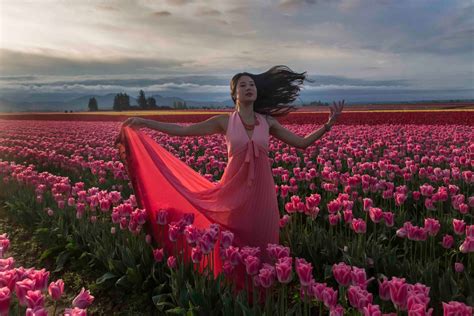 Skagit Valley Tulip And Daffodil Photo Tours North