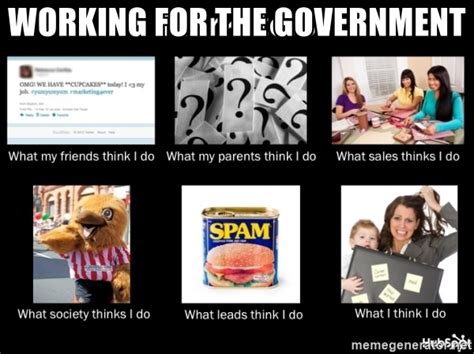 Working For The Government What People Think I Do What I Really Do