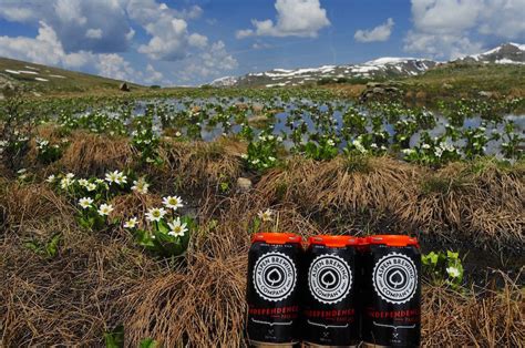 Brew With A View Independence Pass Aspen Brewing Company 303 Magazine