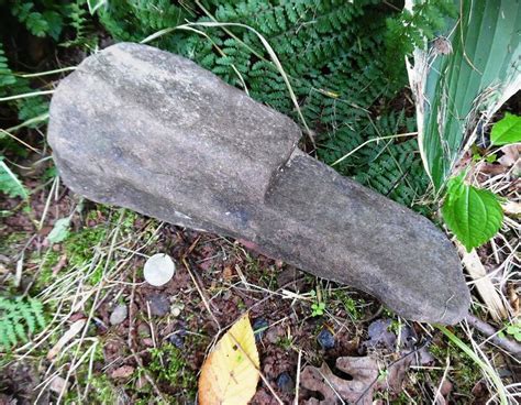 Native American Stone Tool Ax Head Pennsylvania Native American