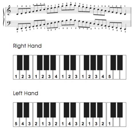 G Major Scale Piano Left Hand Shakal Blog