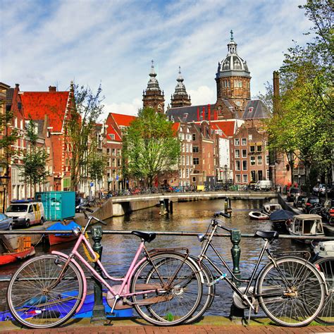 5 Top Reasons Why You Should Study in the Netherlands