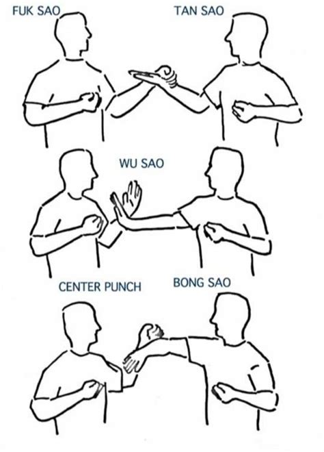 Basic Wing Chun Hand Positions Wing Chun Martial Arts Martial Arts