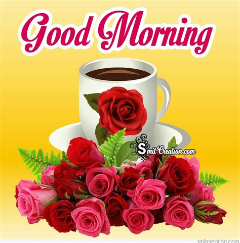 Send flowers pics with good morning captions and quotes through whatsapp to your lover or friends or best friends. Good Morning Flowers Pictures and Graphics - SmitCreation.com
