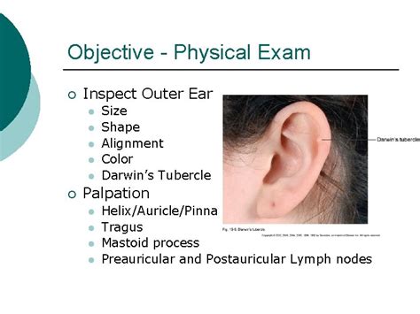 The Assessment Of Ears Inspect And Palpate External