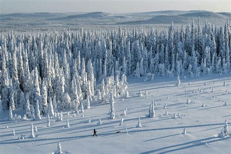 The 8 Best Seasons In Lapland Visit Finnish Lapland