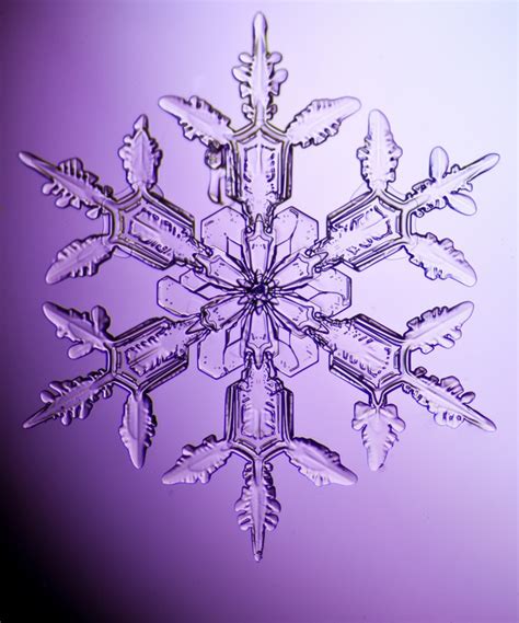 An Individual Snowflake Captured Digitally By Photographer Dennis O