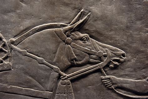 Bas Reliefs En Plaques Murales Assyriens British Museum Dominique
