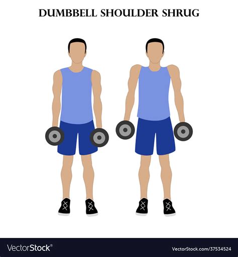 Dumbbell Shoulder Shrug Exercise Strength Workout Vector Image