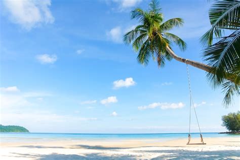 Premium Photo Dream Scene Beautiful Palm Tree Over White Sand Beach