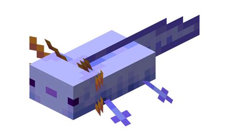 5 Rarest Axolotl Minecraft And How To Get Them 2022