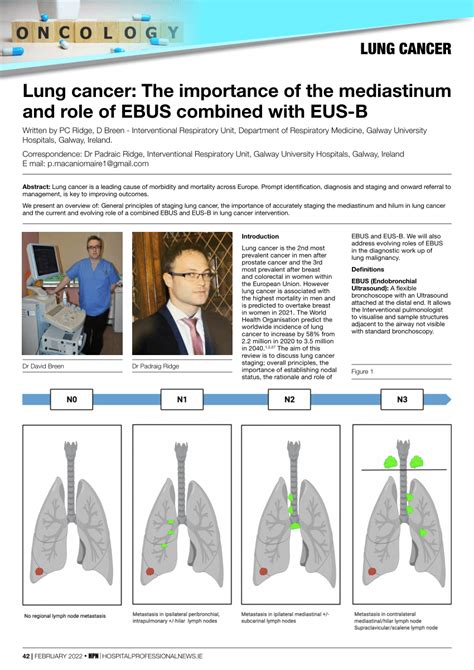 Pdf Lung Cancer The Importance Of The Mediastinum And Role Of Ebus