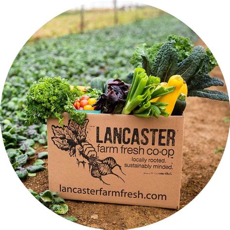 Lancaster Farm Fresh Locally Rooted Sustainably Minded A Non Profit