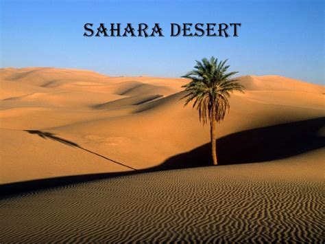 Major landforms in egypt saharaa desert wadi el natrun wadi natrun which is in the eastern desert near the delta, is one of the prime the sahara desert is located in the northern portion of africa and covers over 3,500,000 square miles (9,000,000 sq km) or roughly 10% of the continent (image). Africa's Landforms