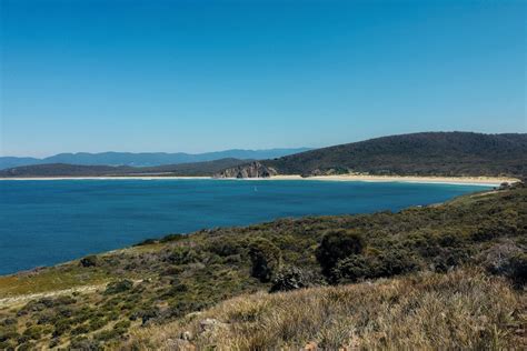 Cape Queen Elizabeth Track The Best Bruny Island Walk