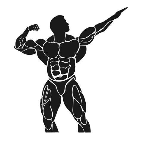 bodybuilding concept muscles healthcare illustrations ~ creative market
