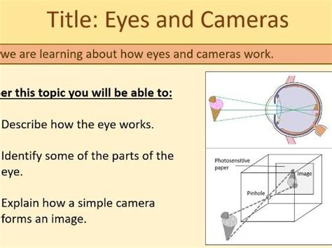 Eyes And Cameras Ks3 Year 7 Teaching Resources