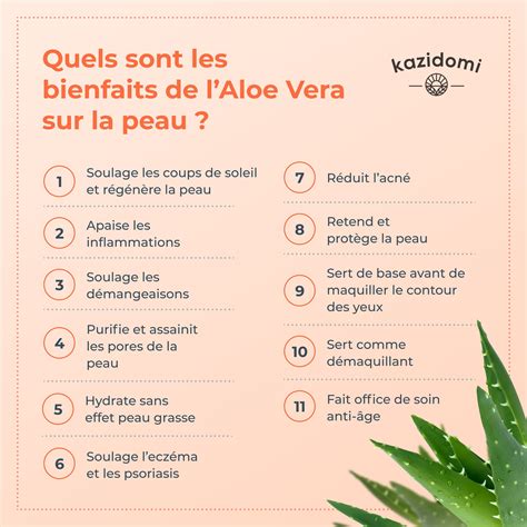 Courant Poulet Se Blesser Aloe Vera Gélules Bienfaits Micro Colonel