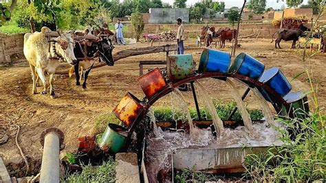 Purana Virsa In Traditional Irrigation System Of Punjab Technology Of