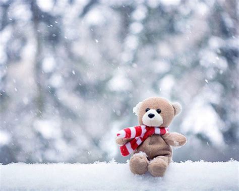 Cute Teddy Bears Wallpapers For Mobile Wallpaper Cave