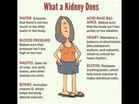 Patient will demonstrate behavior/lifestyle changes to prevent complications. 983 best images about Chronic Kidney Disease on Pinterest ...