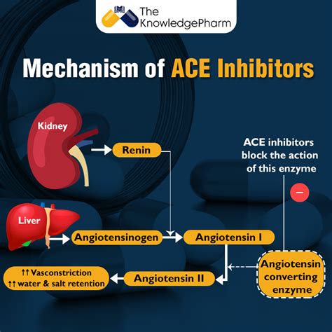 Mechanism Of Ace Inhibitors Pharmacology Nursing Nursing Student