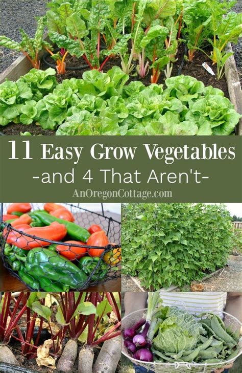 Want To Know What Vegetables Are Actually Easy To Grow Here Are 11