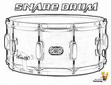 Coloring Drum Snare Drums Musical Boys Percussion Yescoloring Majestic sketch template