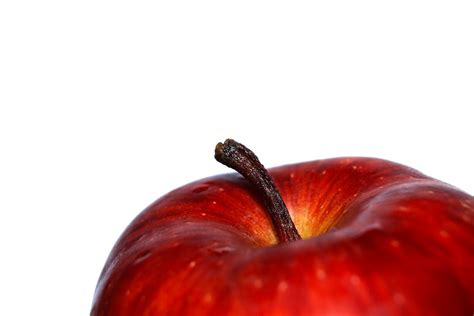 Red Apple Fruit Photography · Free Stock Photo