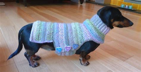 25 Beautiful Crochet Dog Sweater Patterns The Funky Stitch