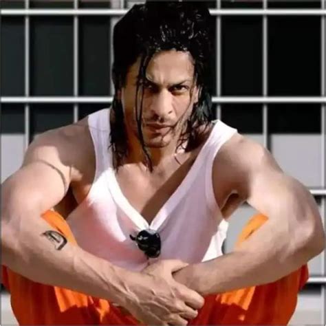 Shah Rukh Khans Don 3 Yashs Kgf 3 And More Sequels Of Hit Bollywood