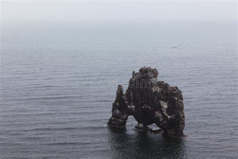 Hvitserkur Rock In The Sea Near Icelandic Coast Stock Image Image Of