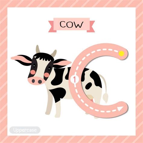 C Is For Cow Kuh Alphabet And Numbers Minnie Cow