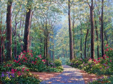 Forest Beauty By Schaefermiles Landscape Paintings Landscape