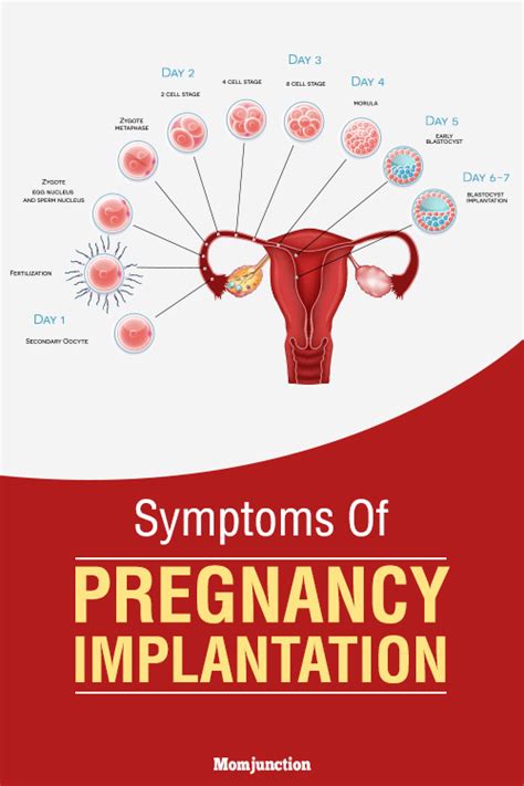 8 Early Signs And Symptoms Of Implantation