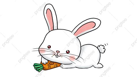 Radish Cartoon Png Image Rabbit Cartoon Cute Eating Radish Head
