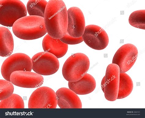 Powerpoint Template Red Blood Cells Cell Jnnlihi