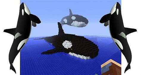 Giant Orca Couple Minecraft Map