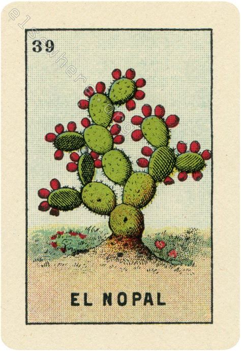 A Postage Stamp With A Cactus And Flowers On The Front Which Reads El