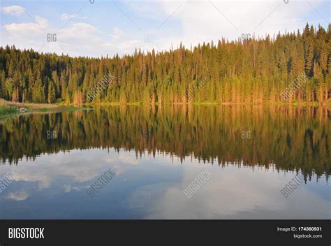 Autumn Forest Mountain Image And Photo Free Trial Bigstock