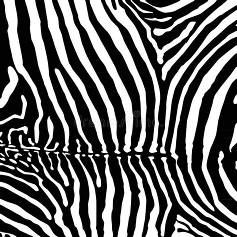 Vector Zebra Background Stock Vector Illustration Of Presentation