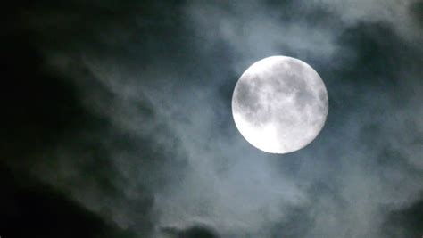 Night Full Moon Landscape Stock Footage Video 4402889 Shutterstock