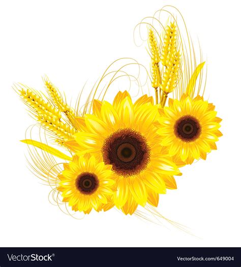 Sunflowers Royalty Free Vector Image Vectorstock